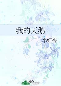 我的天鹅类似推荐