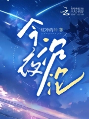 今夜沉沦有风归
