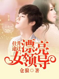 仕途升迁漂亮女领导是谁